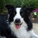 Dawson was adopted in October, 2005